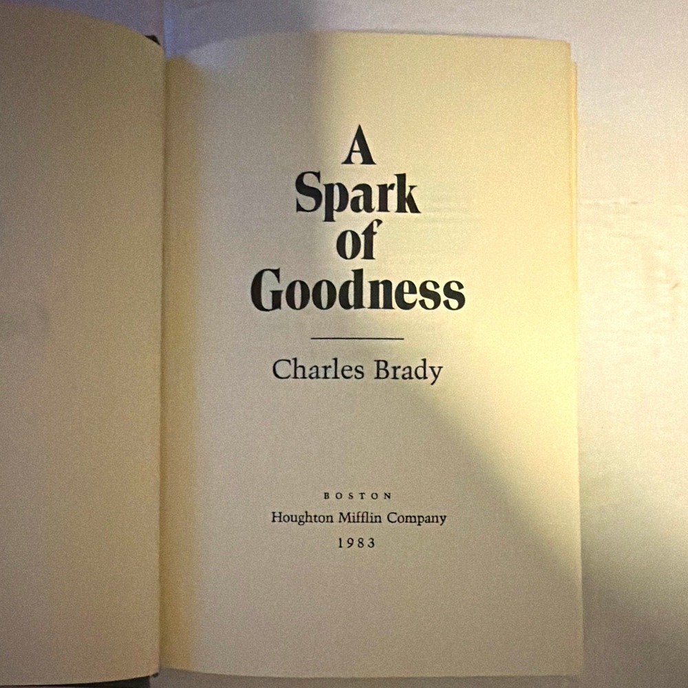 A Spark of Goodness Charles Brady Hardcover Novel Houghton Mifflin 1983